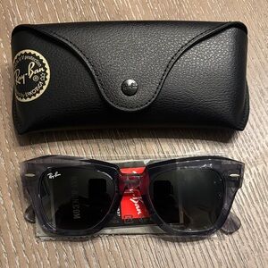 NWT Ray-Ban Gray Sunglasses with Black Case
